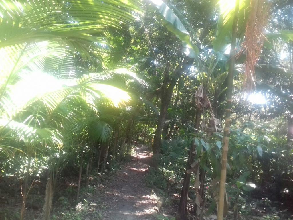 Recanto Da Kaka Ilha do Mel Luaran gambar